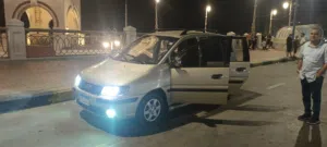 السيد محمد شحاته 