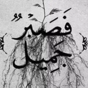 OMAR ALSAADI