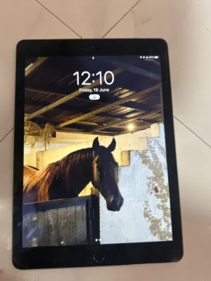 Apple iPad Air 2 16 GB in Al Batinah