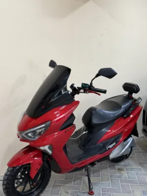 Scooter Electric
