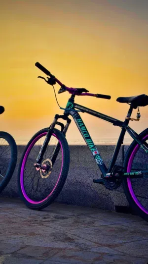 سيكل للبيع بسعر مناسب  HAMCO BIKE