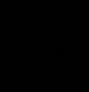 عبدالله شتيوي 