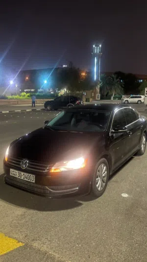 باسات 2014 صبغ الوكالة