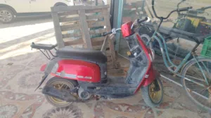 ماكس بوليس