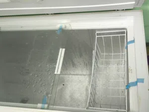 مجمده مشتغل اسبوع واحد بعهدي بل كارتون
