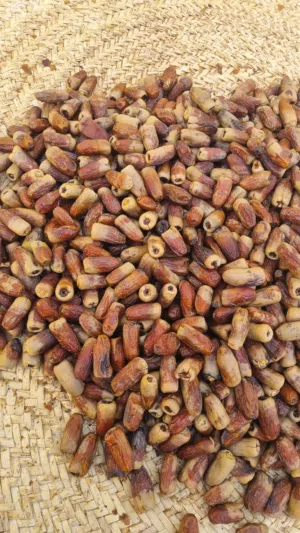 تمور فاخره من انتاج ولايه الرستاق نظيفه جدا