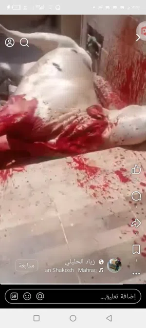 لحام أضاحي داخل اربد متنقل لجميع المنازل
