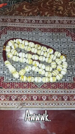 مستكة مطوق عسل