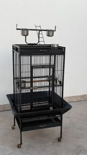 Parrot cage