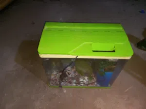 حوض سمك للبيع