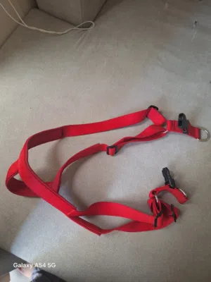 large dog vest