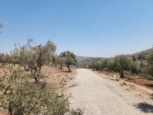 ارض للبيع في أجمل مناطق عمان الغربية بدر الجديده زبدا قرب سمير الرفاعي تفرز خمس قطع البيع لكامل القط