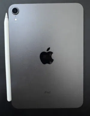 GB 256 سعة iPad Mini 6 (Space Gray) للبيع