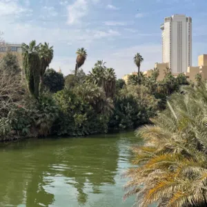 مصطفى فياض