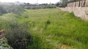 قطعه ارض مساحة دونم وربع قوشان مستقل في السلط الزعتري قريب من جسر دبابنه