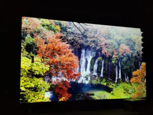 Brand New Oscar Smart TV 55"