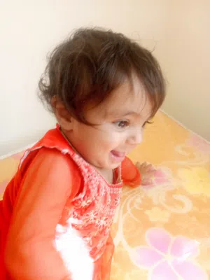 Amir Gul 