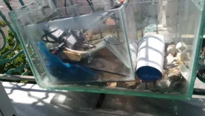 يع 3 أحواض سمك بحالة ممتازة جدًا