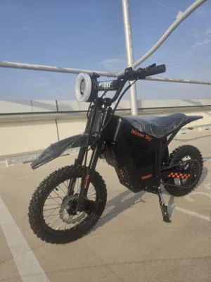 kugoo wish 01 winner sky brand