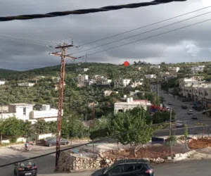 Farm Land for Sale in Ajloun Other
