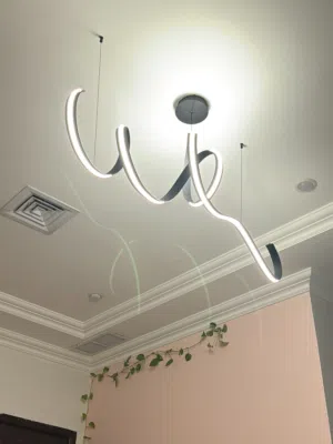 Living Room Light