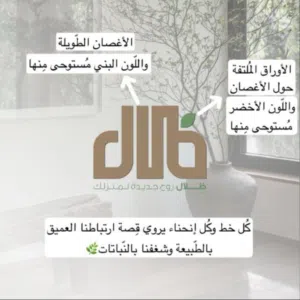 إنتاج وبيع شتلات الفاكهة والزينة 