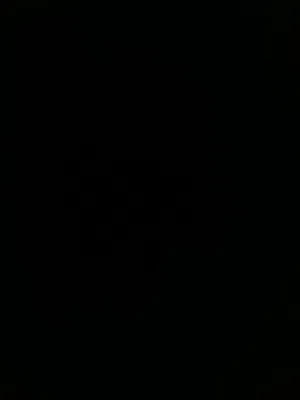 تيسير ابو عواد