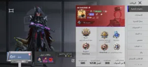 Pubg Accounts and Characters for Sale in Misrata