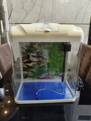 Small Complete Home Aquarium Tank with LED Hood and Filter