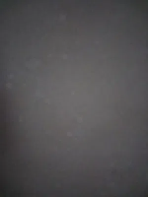 فرشه قهوية مستعملة للبيع