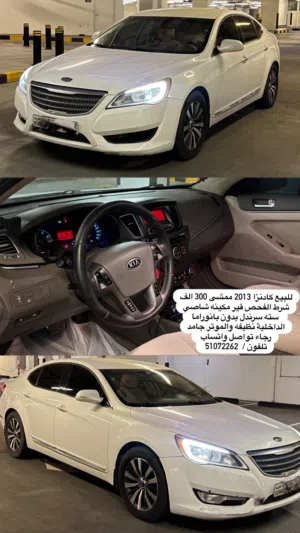 كادنزا 2013