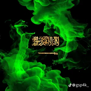 علي الهاشمي 