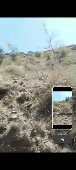 اراضي-للبيع-في-مدينه-اب-ميتم-بسعر-مغري-جدا-على-الشارع-الفرعي