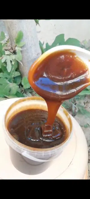 دبس فرض عماني أنتاج 2025