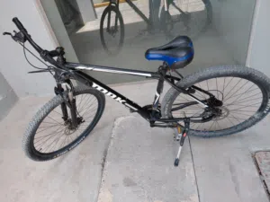 bicycle for sale size 29