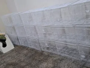 اقفاص للبيع اخو الجديد ب أغراضه كامل