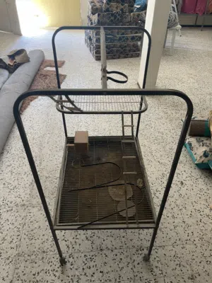 طاولة ببغاء كبيرة