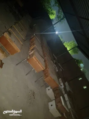 نحال محترف للعنايه ب خلايا النحل وإنتاج العسل