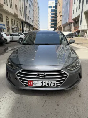 Used Hyundai Elantra in Abu Dhabi