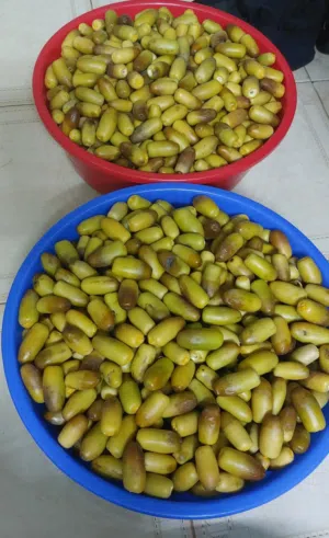nagel kg 1rlal