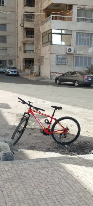 عجله إيطاليانو