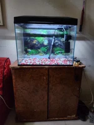 Aquarium Fish Tank