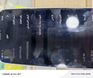 Apple iPhone 12 64 GB in Salt
