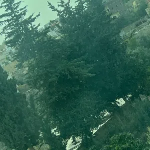 ااا ا