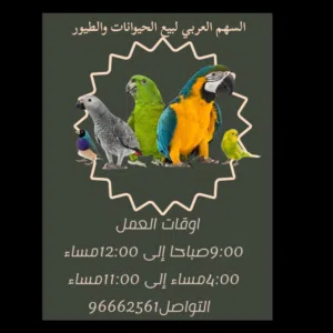 السهم F1988