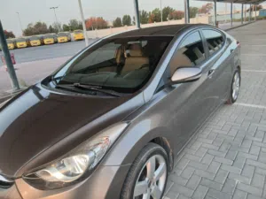 هواندي النتر