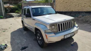 السلام عليكم جيب ليبرتي 2009 السعر 95 وبيها مجال