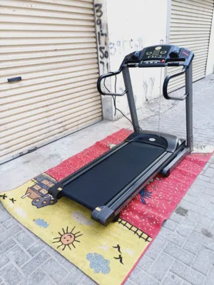 Horizon heavy duty treadmill