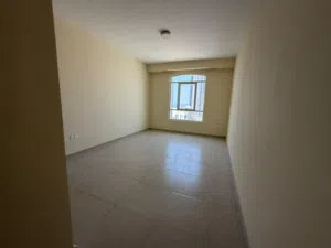 1300 m2 1 Bedroom Apartments for Rent in Ajman Ajman Corniche Road