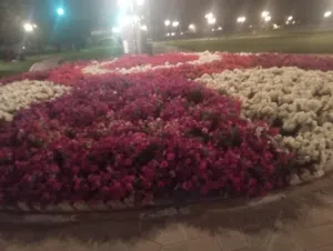 Hayfa 